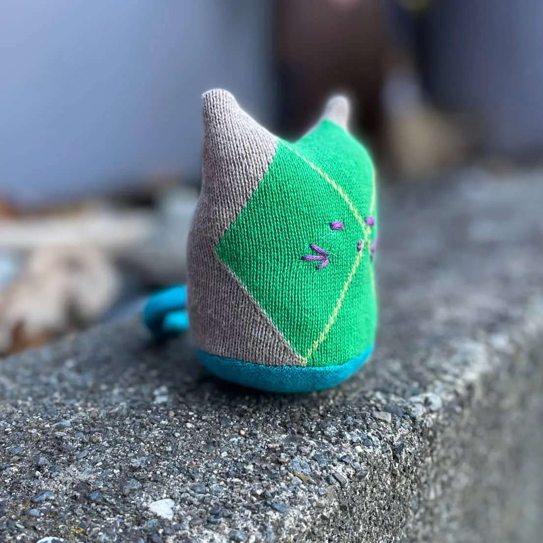 Argyle Adopt-A-Kitty - Image 3