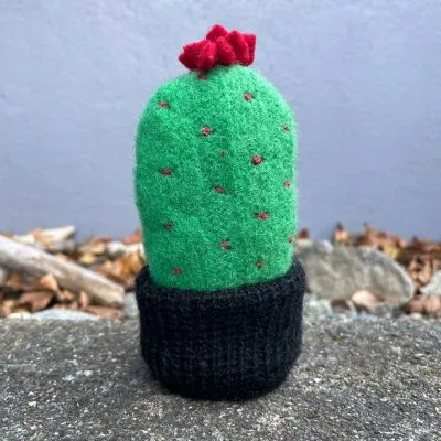 Upcycled Sweater Christmas Cactus