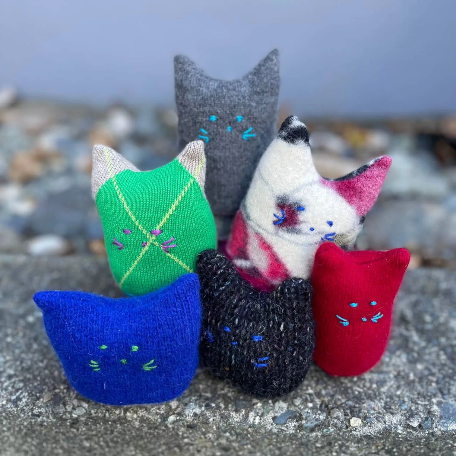Argyle Adopt-A-Kitty - Image 4