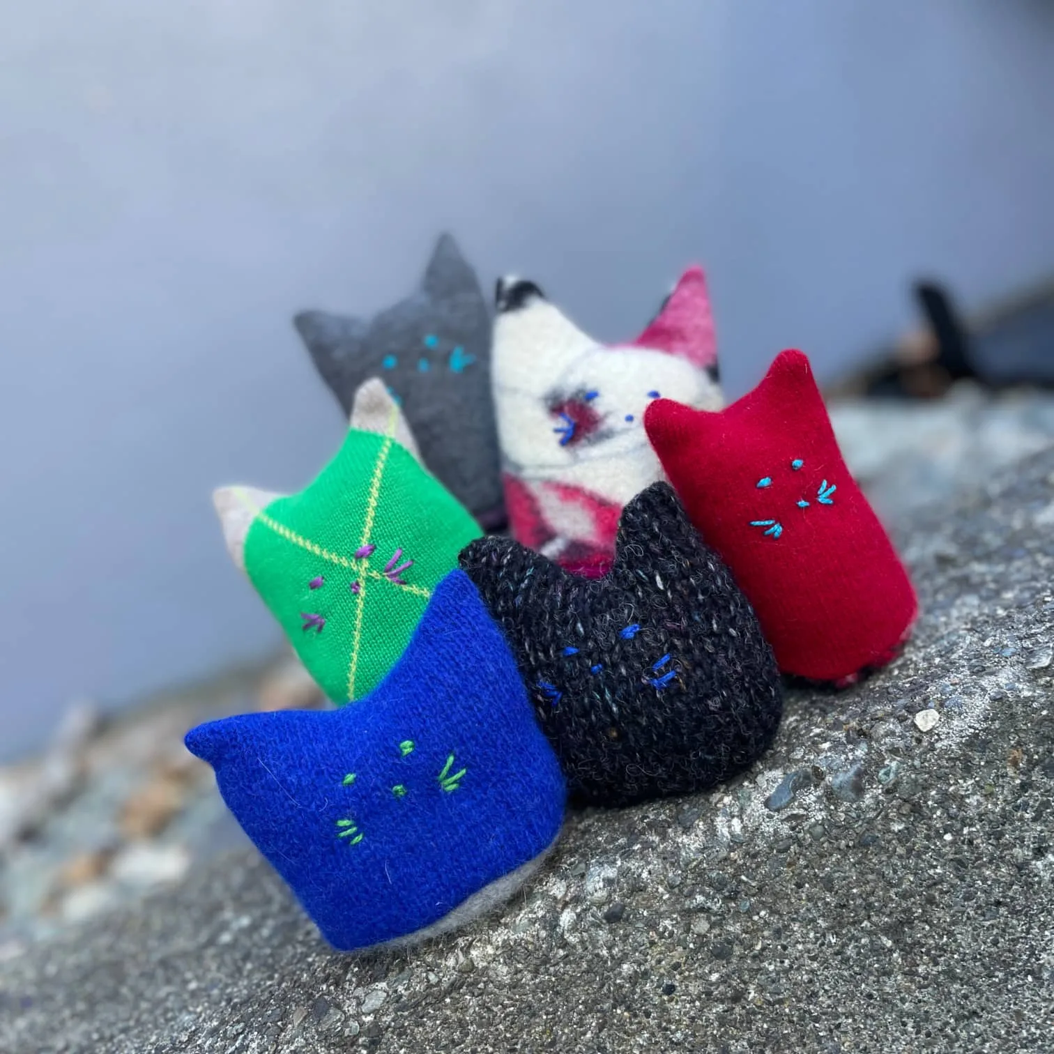 Argyle Adopt-A-Kitty - Image 5