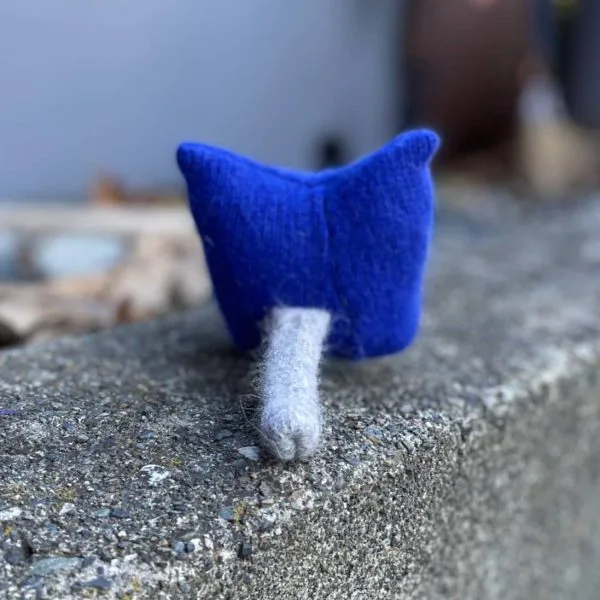Norm Adopt-A-Kitty - Image 2